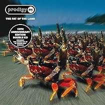 The Prodigy - The Fat of the Land レコード Fat Of The Land: Prodigy: Amazon.ca: Music